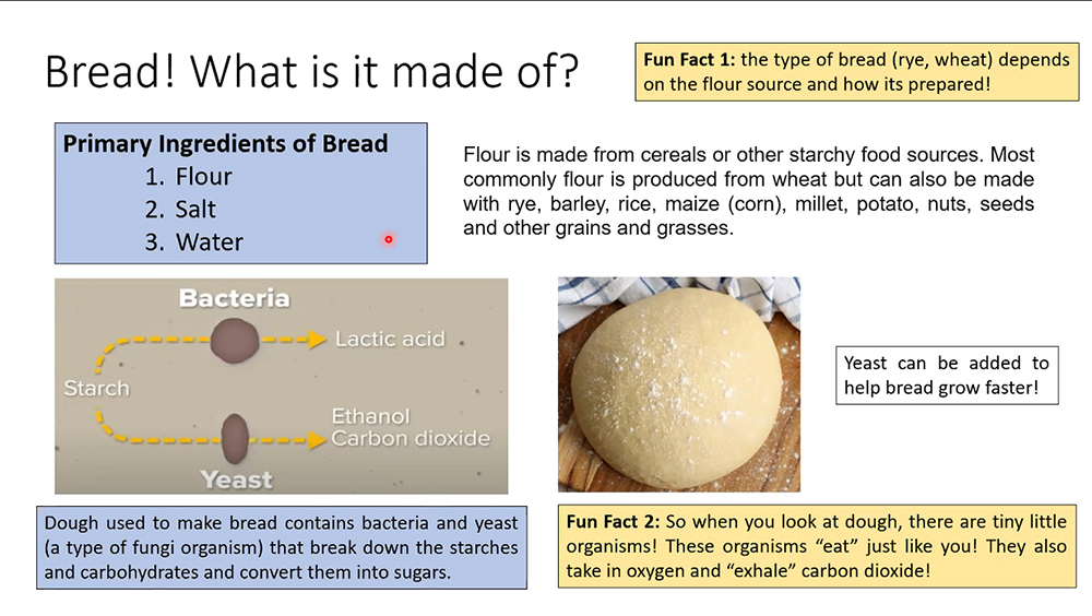 ENVISION students' slide about bread making.